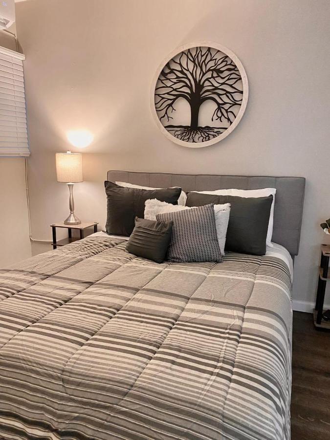 Apartmán Bonito Departamento Remodelado Tranquilo Y Centrico Ciudad Juárez Exteriér fotografie